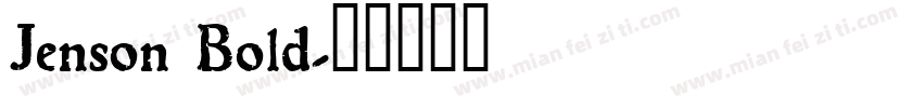 Jenson Bold字体转换